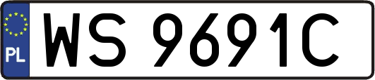 WS9691C
