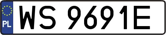 WS9691E