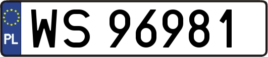 WS96981