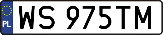 WS975TM