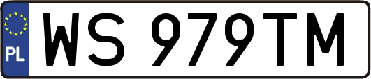 WS979TM