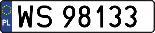 WS98133