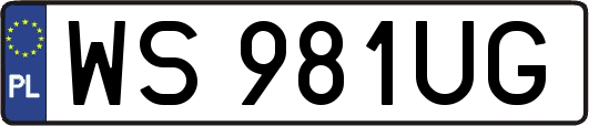WS981UG