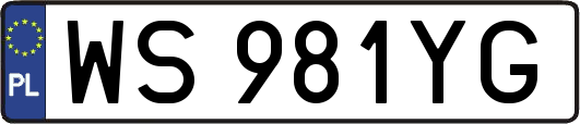 WS981YG