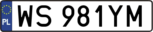 WS981YM