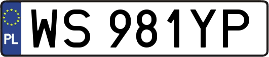 WS981YP