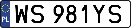 WS981YS