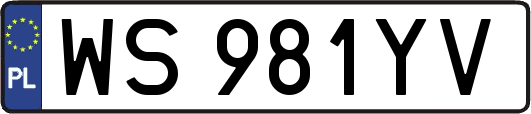 WS981YV