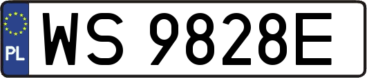 WS9828E