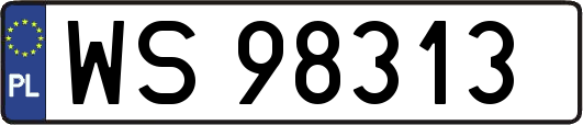 WS98313