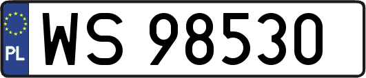 WS98530