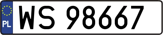 WS98667