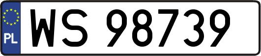 WS98739