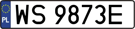 WS9873E