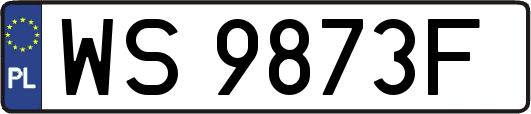 WS9873F