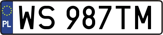 WS987TM