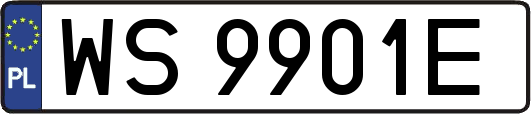 WS9901E
