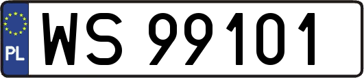 WS99101