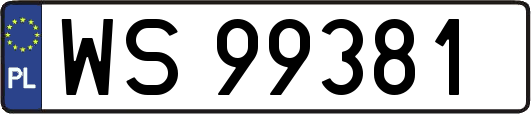 WS99381