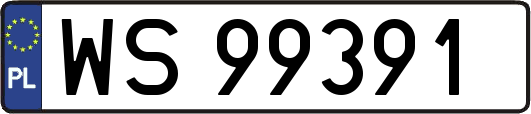 WS99391