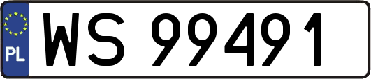 WS99491