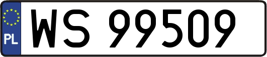WS99509