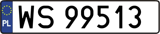 WS99513