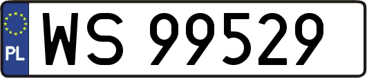 WS99529