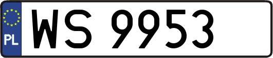 WS9953