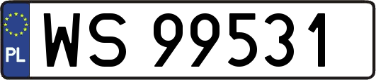 WS99531