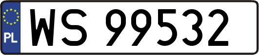 WS99532