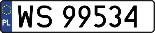 WS99534