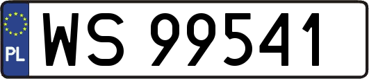 WS99541