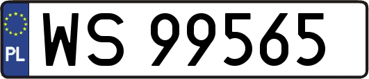 WS99565