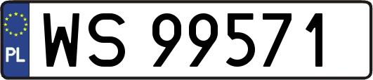 WS99571