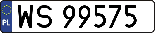 WS99575