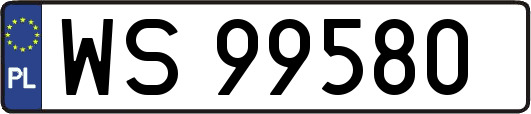 WS99580