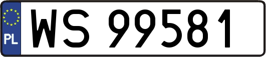 WS99581