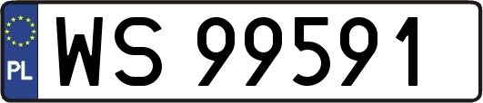 WS99591