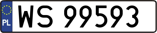 WS99593