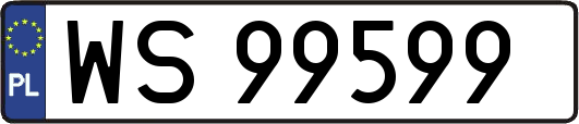 WS99599
