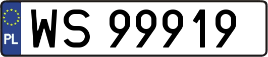 WS99919