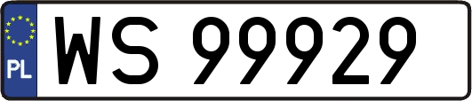 WS99929