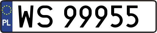 WS99955