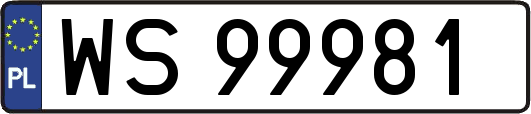 WS99981