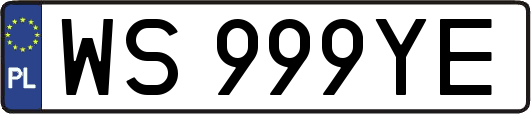 WS999YE