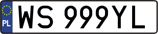 WS999YL