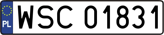 WSC01831