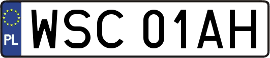 WSC01AH