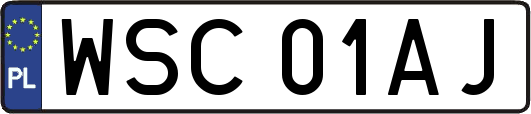 WSC01AJ